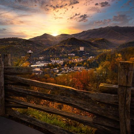 Alpine Joy-Hot Tub, Pond Access ,1089 Of Free Tickets For Each Paid Day, Dollywood And More! Townsend Eksteriør bilde