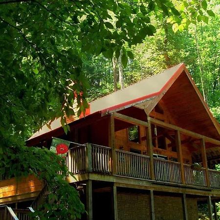 Alpine Joy-Hot Tub, Pond Access ,1089 Of Free Tickets For Each Paid Day, Dollywood And More! Townsend Eksteriør bilde