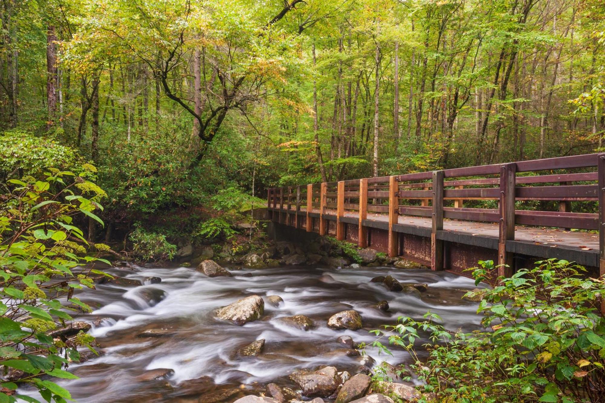 Alpine Joy-Hot Tub, Pond Access ,1089 Of Free Tickets For Each Paid Day, Dollywood And More! Townsend Eksteriør bilde
