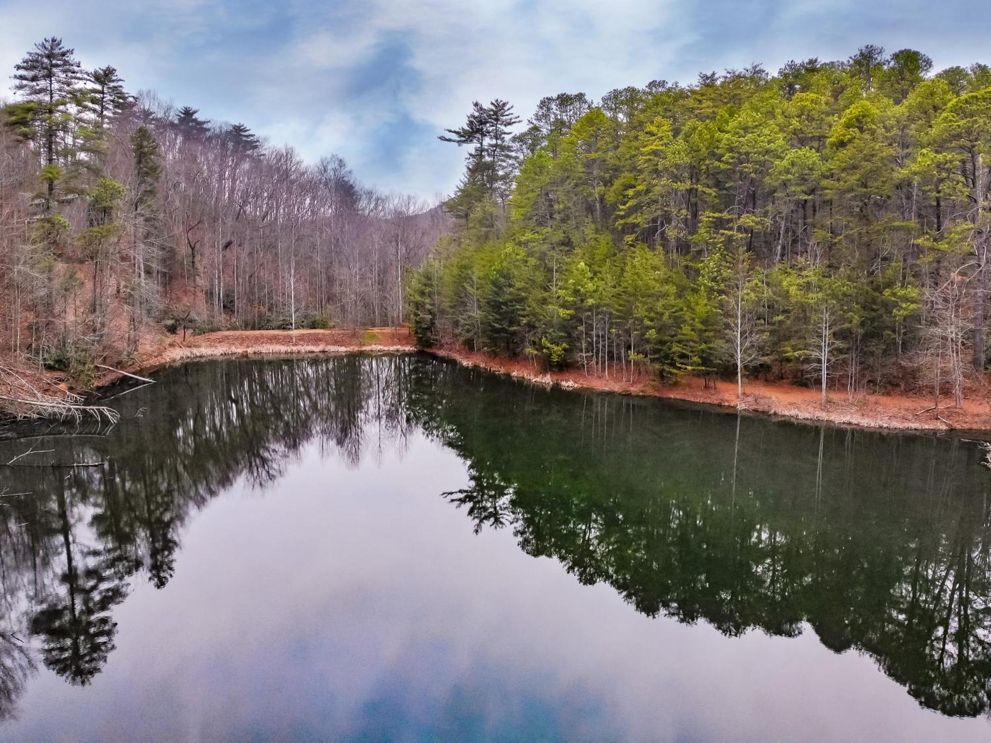 Alpine Joy-Hot Tub, Pond Access ,1089 Of Free Tickets For Each Paid Day, Dollywood And More! Townsend Rom bilde