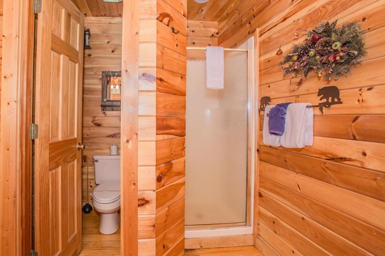 Alpine Joy-Hot Tub, Pond Access ,1089 Of Free Tickets For Each Paid Day, Dollywood And More! Townsend Eksteriør bilde