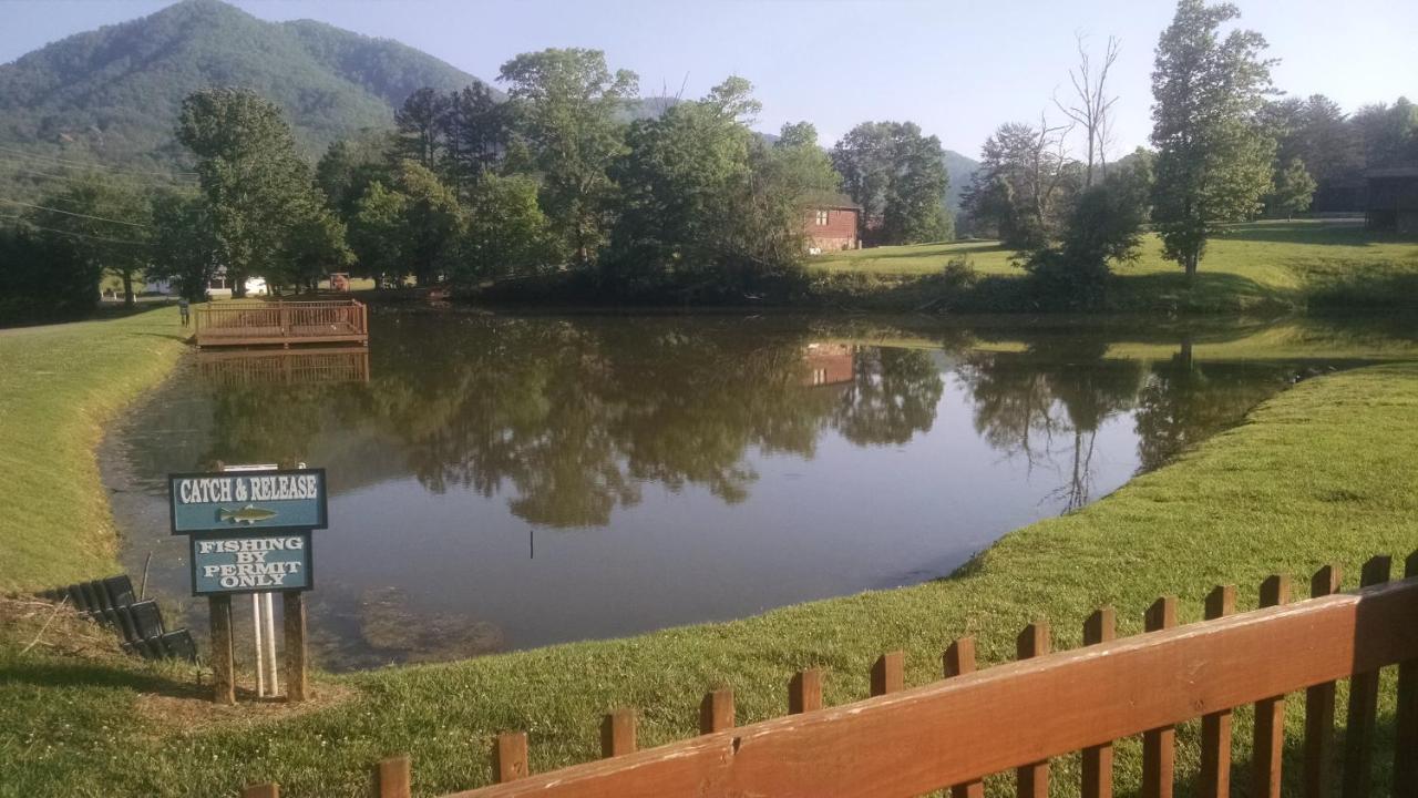 Alpine Joy-Hot Tub, Pond Access ,1089 Of Free Tickets For Each Paid Day, Dollywood And More! Townsend Eksteriør bilde